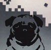1994  -  Pug Dog, acrylic on white board 12X20