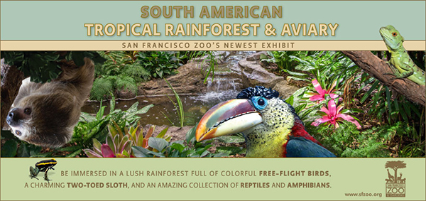 Tropical Rain Firest